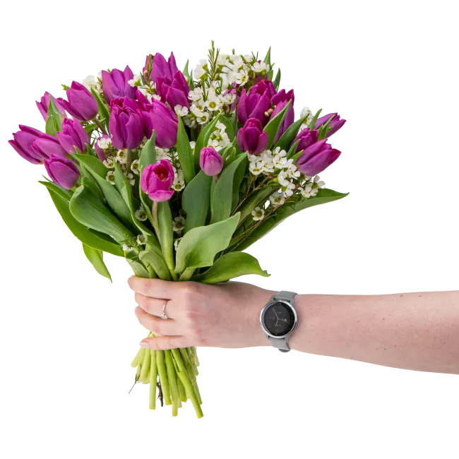 Kytice fialových tulipánů